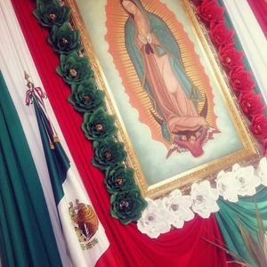 Meet your Posher, Eva